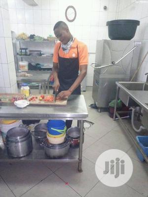Professional House Chef/Steward