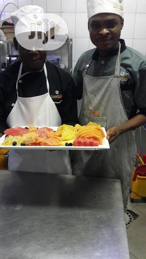 Professional House Chef/Steward