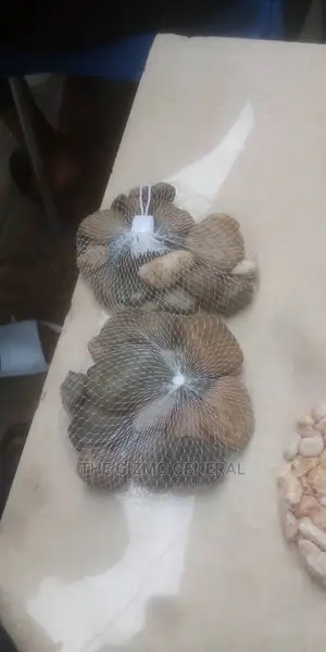 Aquarium Pebbles And Shells /Decorations