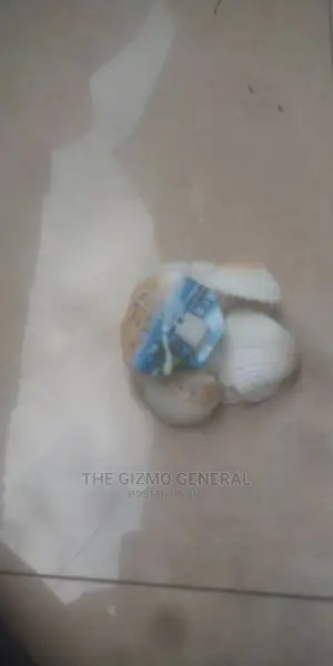 Aquarium Pebbles And Shells /Decorations