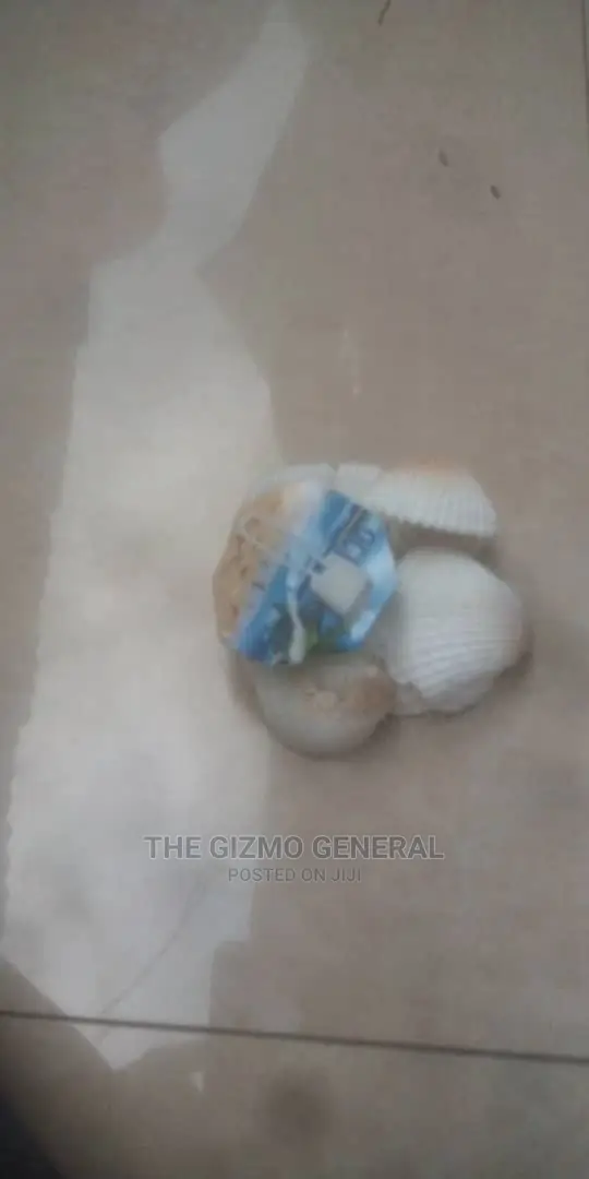 Aquarium Pebbles And Shells /Decorations