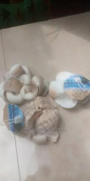 Aquarium Pebbles And Shells /Decorations