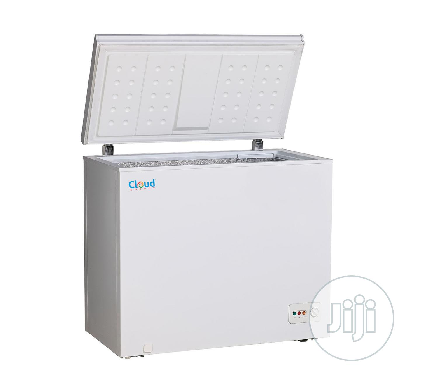 Cloud Energy | FREEZER 318L