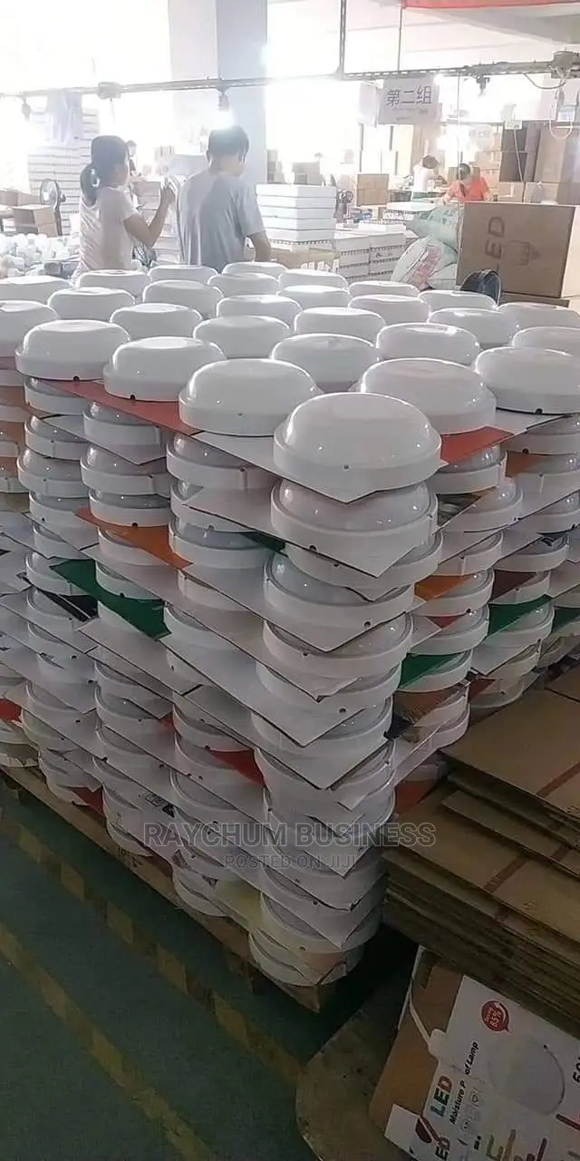 Solface Bulb Of All Size