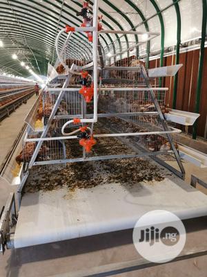 China Factory Best Battery Cages Hot Galvanized Poultry Cages