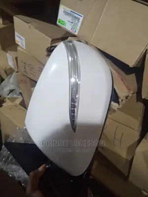 Hyundai Santa Fe 2013 Side Mirror