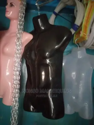 Hanger Hook Mannequins