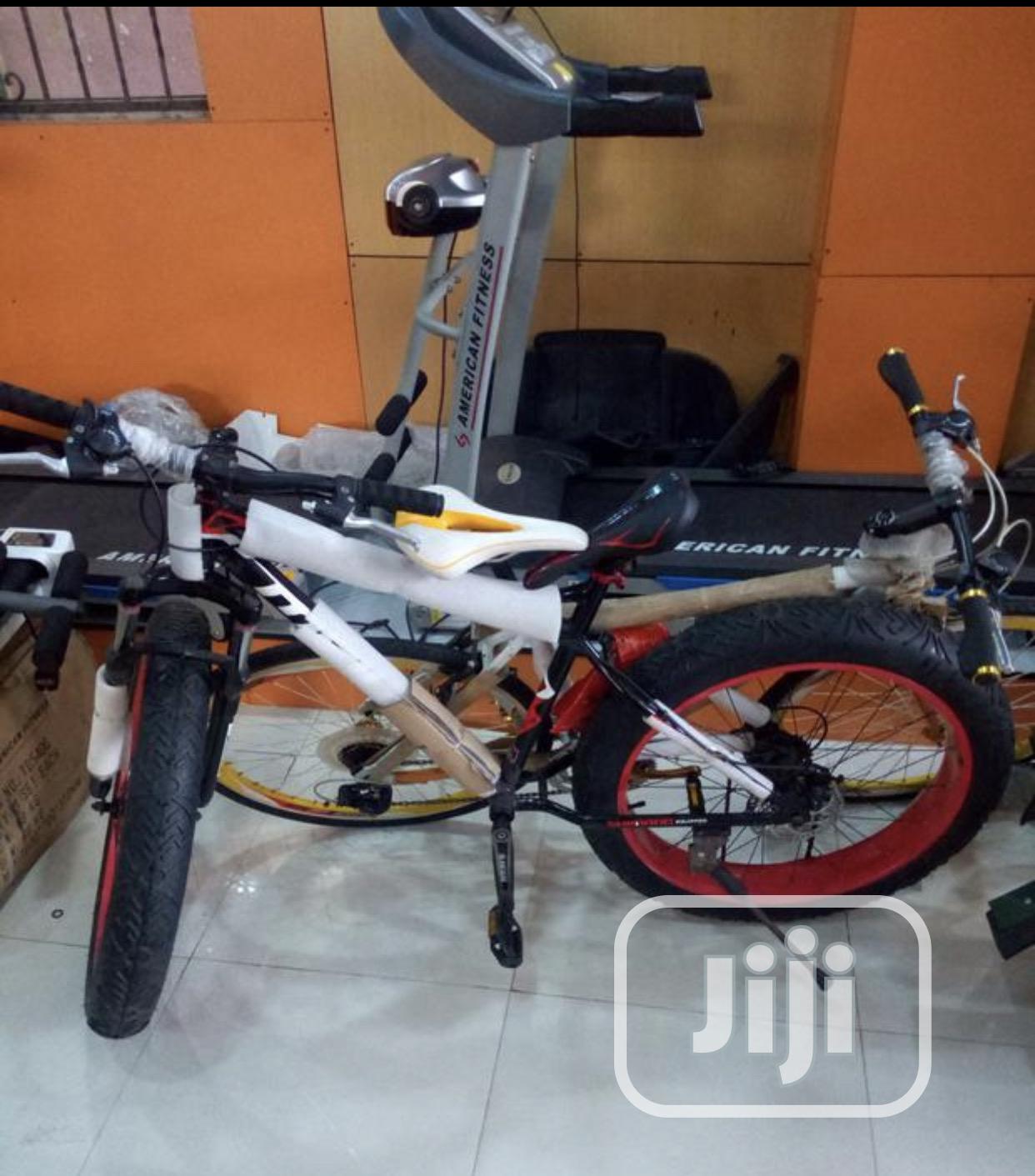 Fat Tyre Bicycle