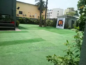 Artificial Synthetic Grass For Occasion Rentals