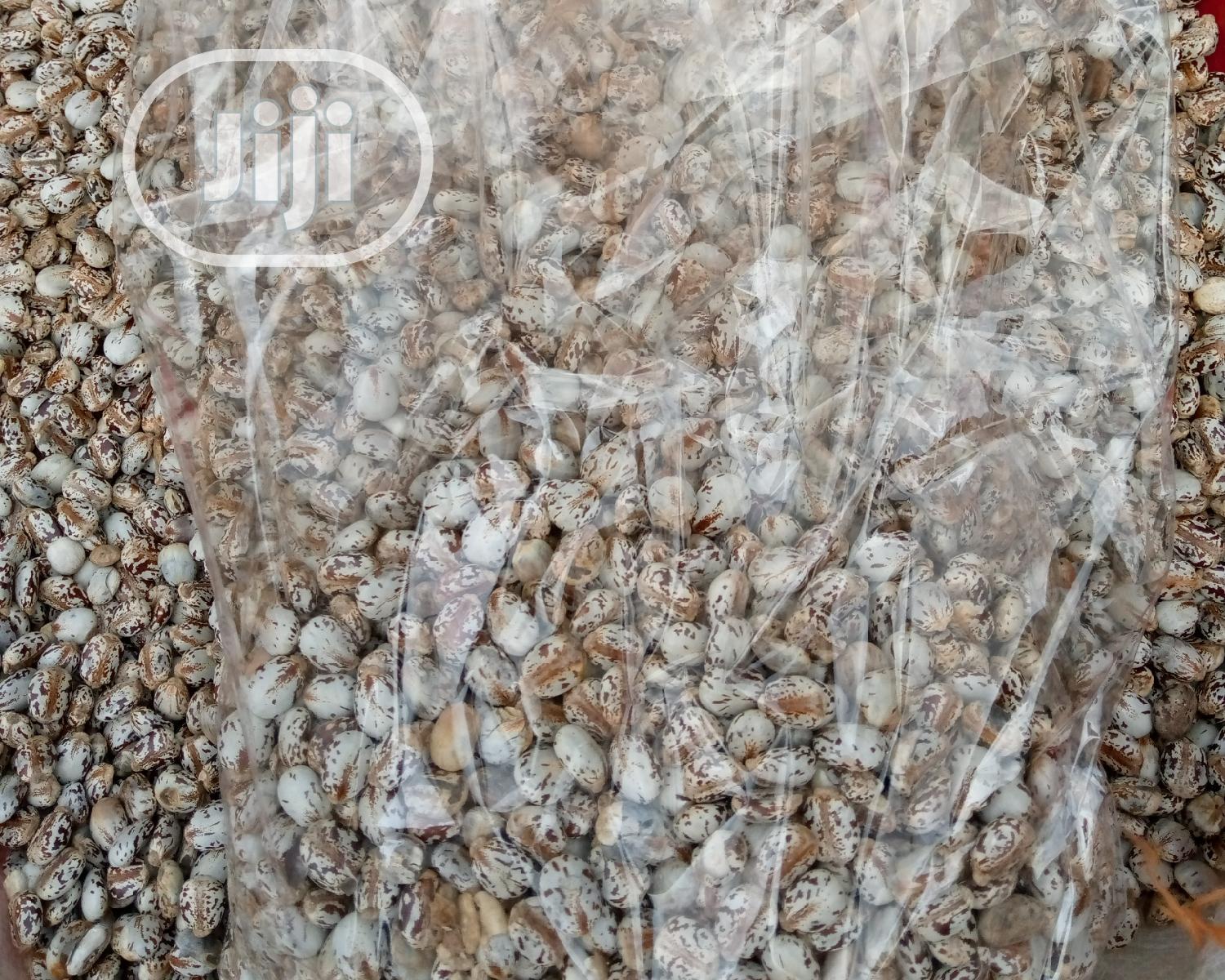 Castor Seeds