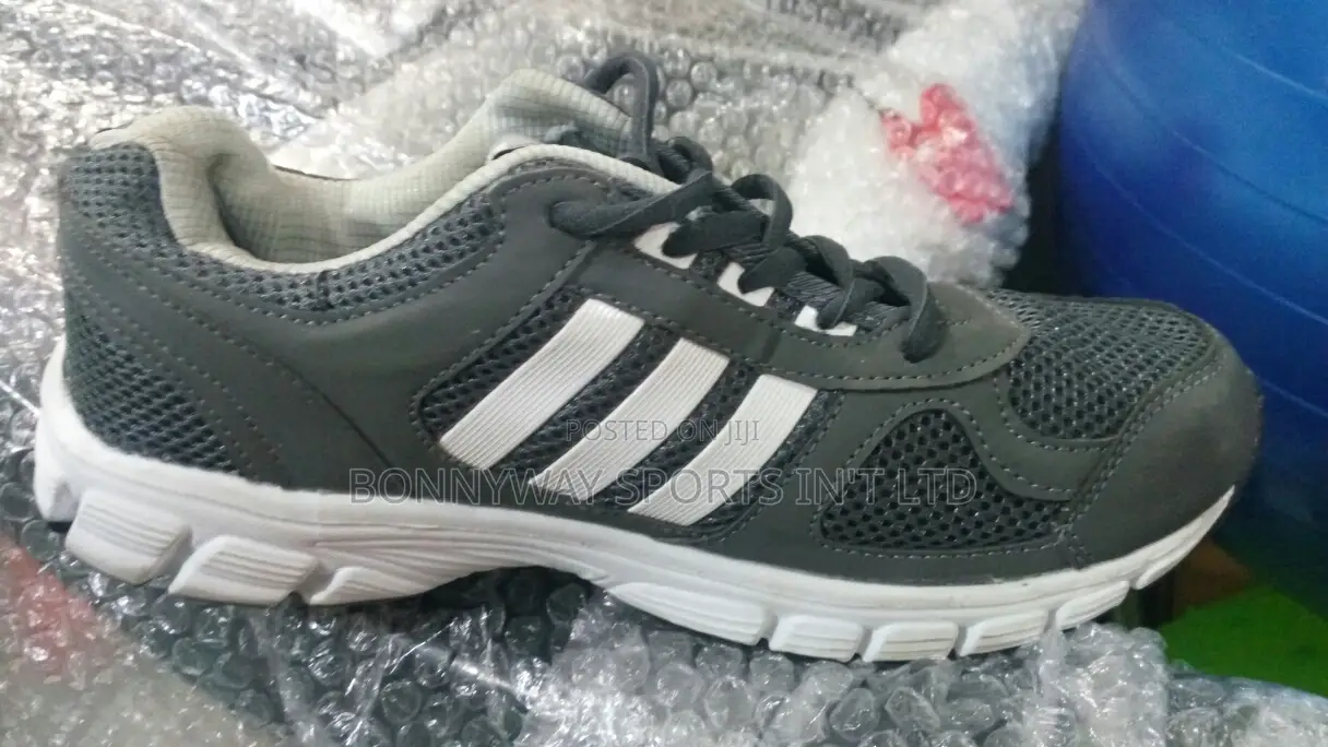 Adidas And Nike Jugging Canvas