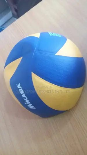 Mikkasa Volleyball