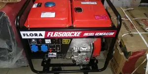 Flora Diesel Generator