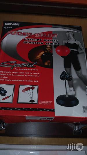 Photo - Adult Punching Speed Ball