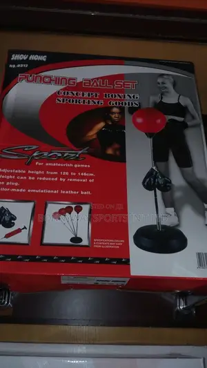 Adult Punching Speed Ball