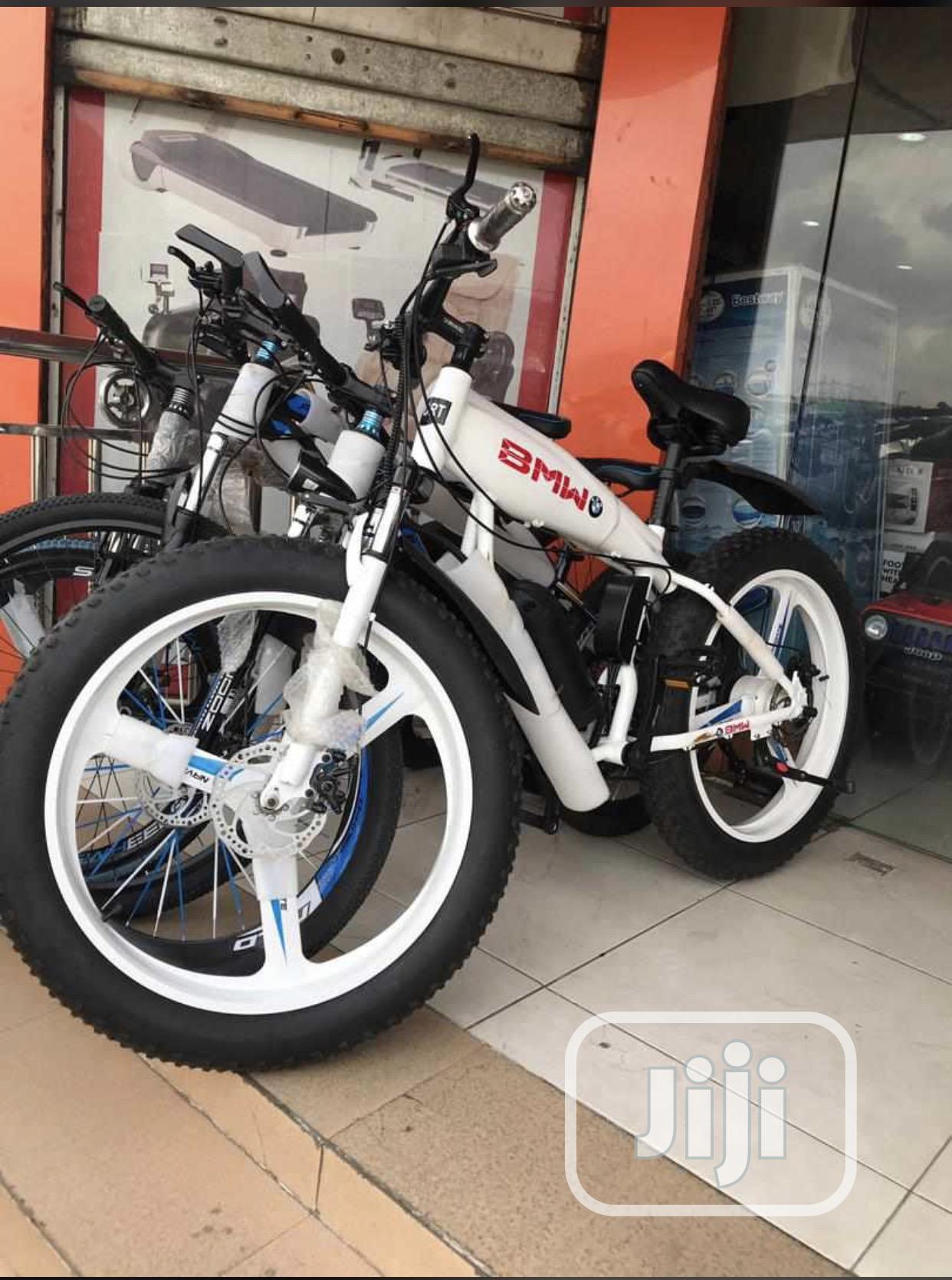 Fat Tyre Bicycle With Manual and Electric Engine