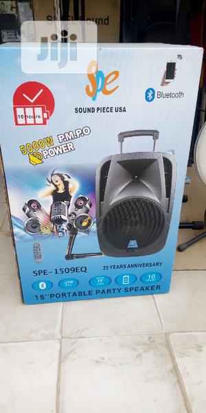 High Quality 15inches Sound Peace Public Address (Pa) System
