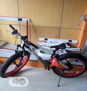 Fat Tyre Road Bicycle