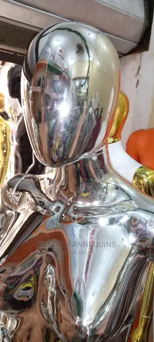 Silver Chrome Mannequins Display