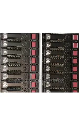 600GB SAS HDD 2.5 10k With Tray