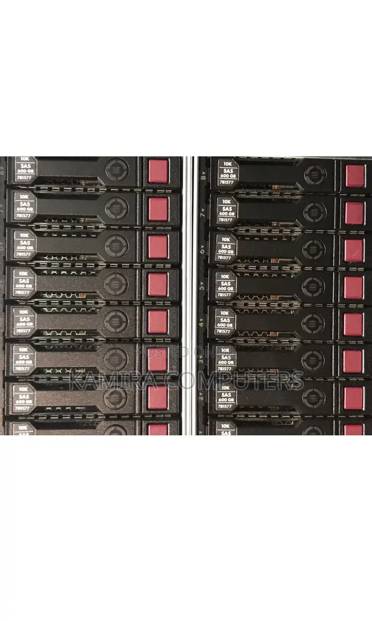 600GB SAS HDD 2.5 10k With Tray