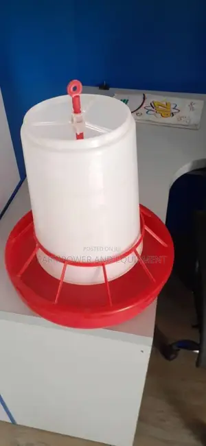 Birds Feeders