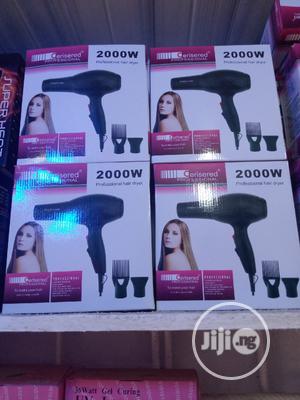 2000 Professional Hair Dryer