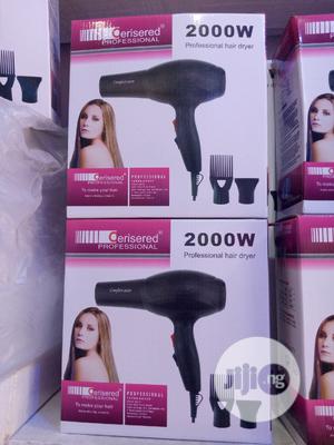 Heat Express Professional Dryer