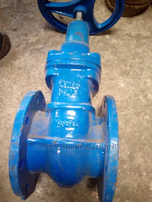 Authentic and Genuine Gate Valve, Cast and Steel Gate Valve