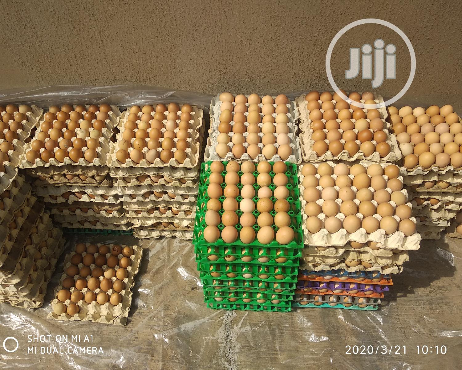 Eggs In Retail And Wholesale