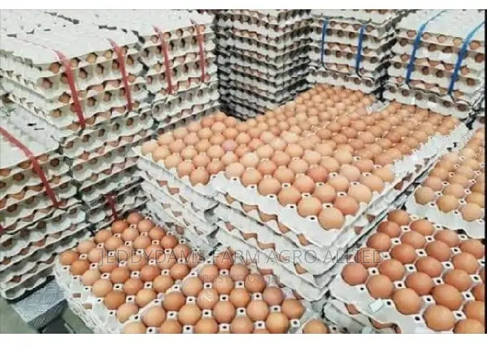 Table Eggs
