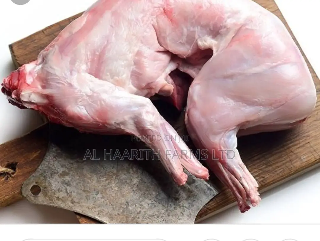 Rabbit Meat : Grilled or Fresh or Peppered