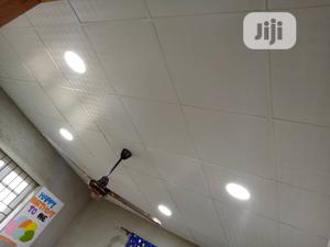 Ceiling Work