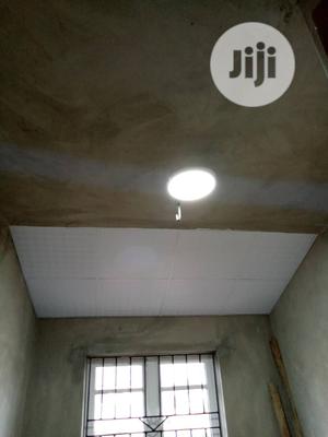 Ceiling Work