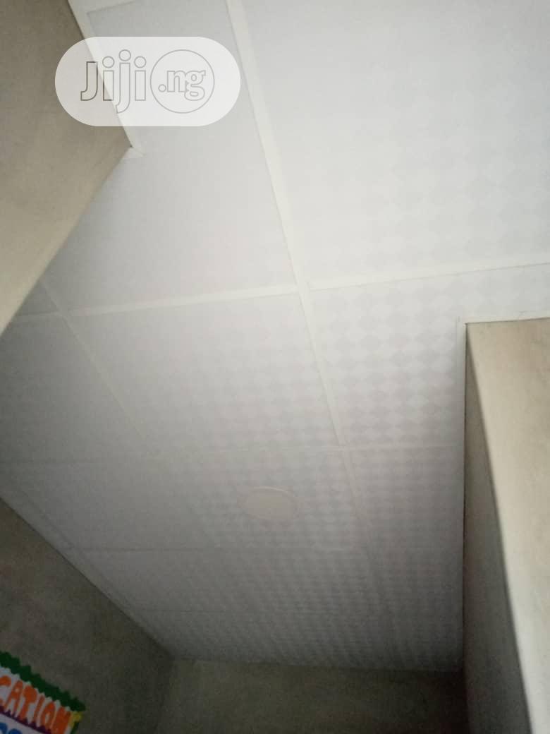 Ceiling Work