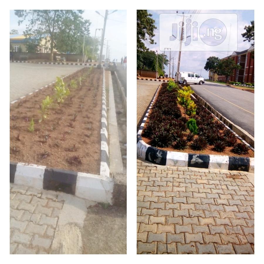 Success Flowers and Landscaping Services