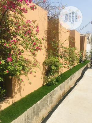 Grass Rugs for Outdoor Decoration