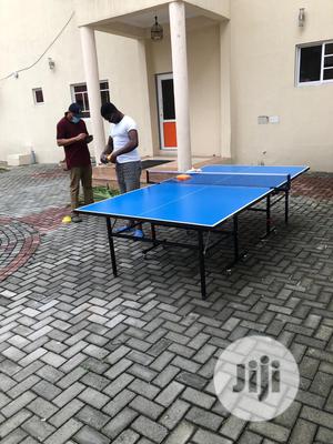 Outdoor Water Resistance Table Tennis Board