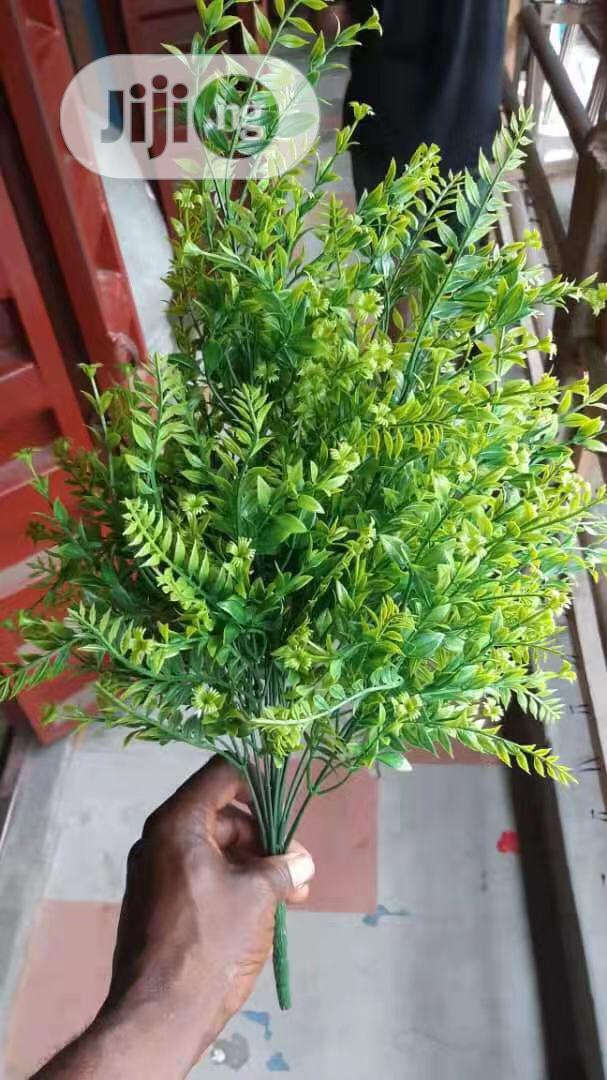 Flowers for Sale