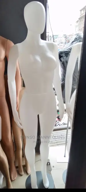 Abstract Face Plastic Mannequin