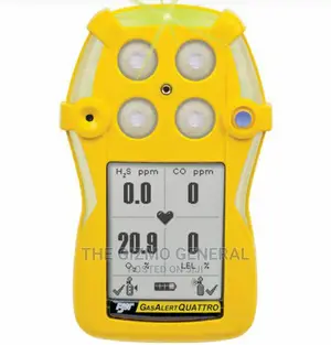 BW Honeywell Gasalert Quattro Gas Detector