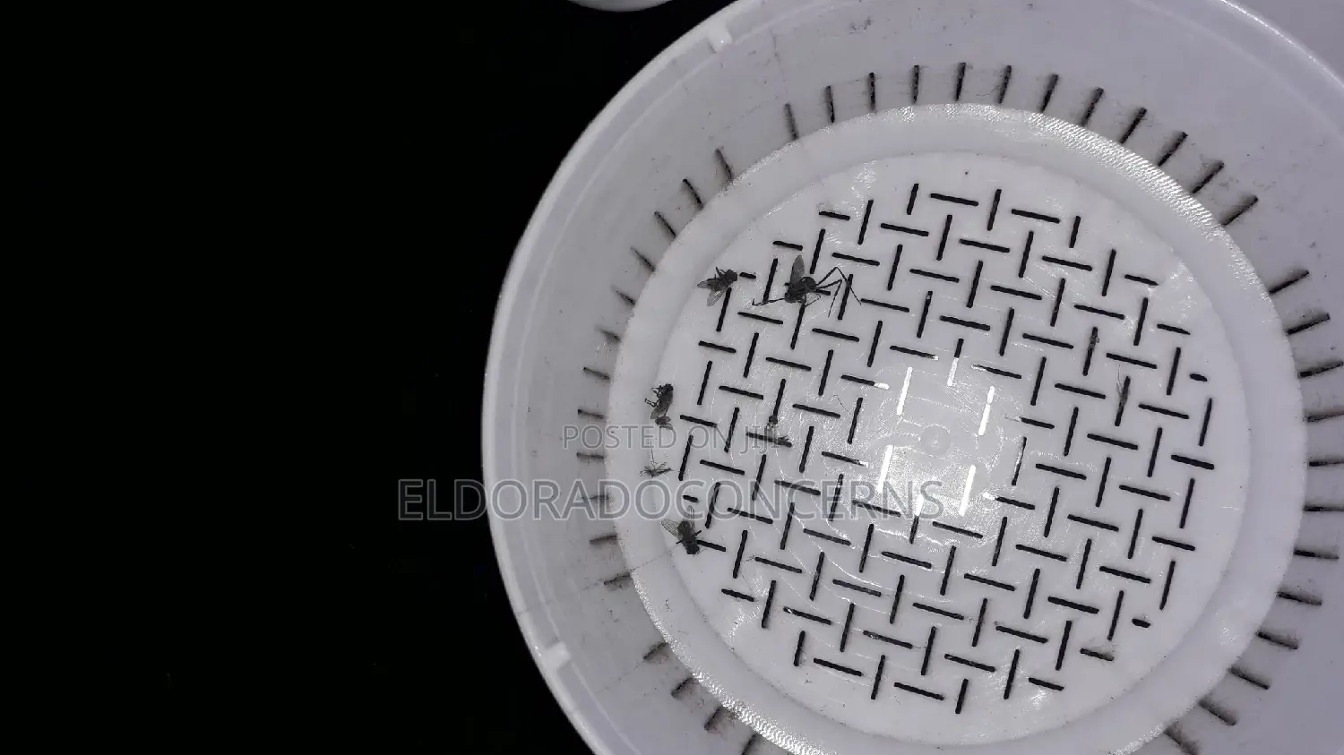 New Brand Effective Mosquito Repellent Lamp