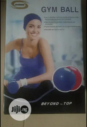 Gym Fitness Ball