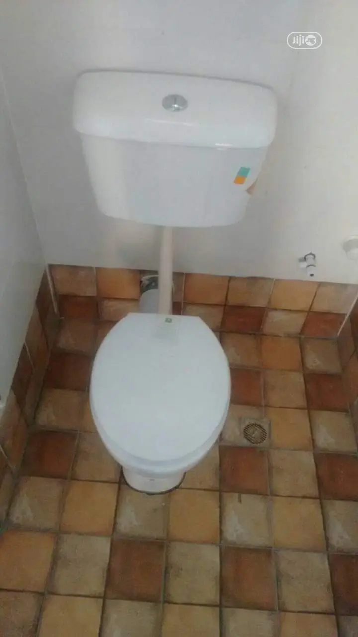 Top Flush Hanging WC