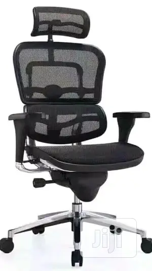 Office Chair (Orthopedic)