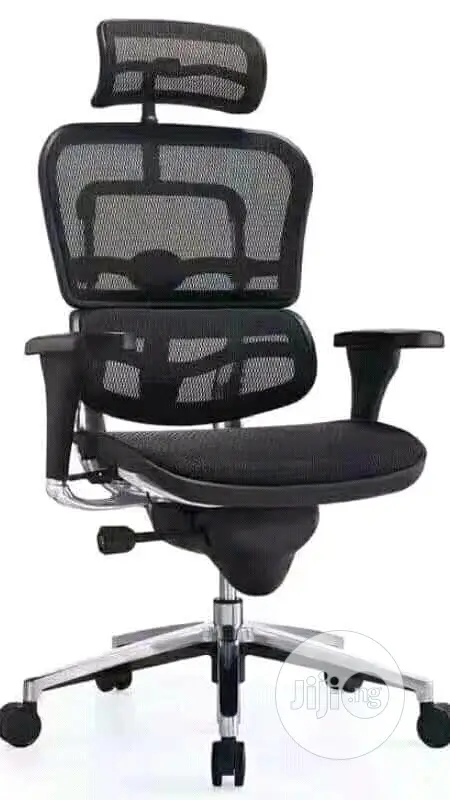 Office Chair (Orthopedic)