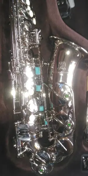 Armstrong Alto Saxophone