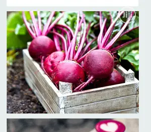 Beetroot Powder 250g