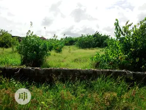 This Lands Is for Sale at Ibjue Lekki Inside Aroromi