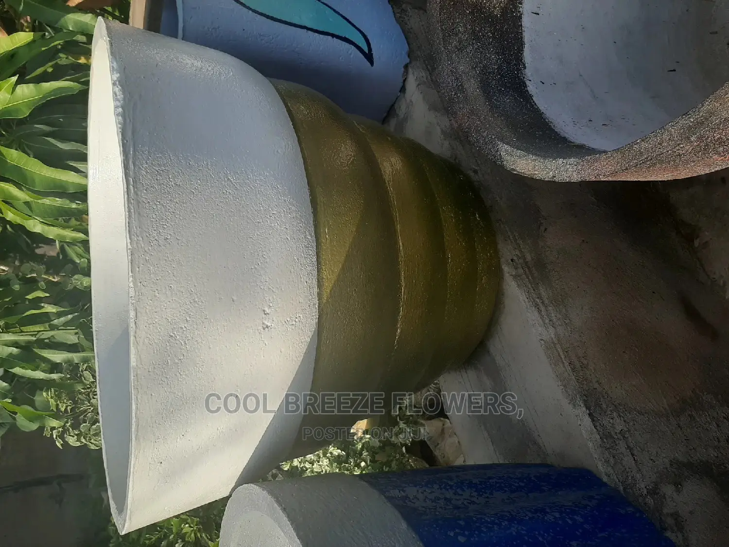 Comcrete Pots
